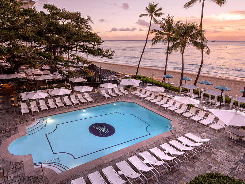 アクティビティ